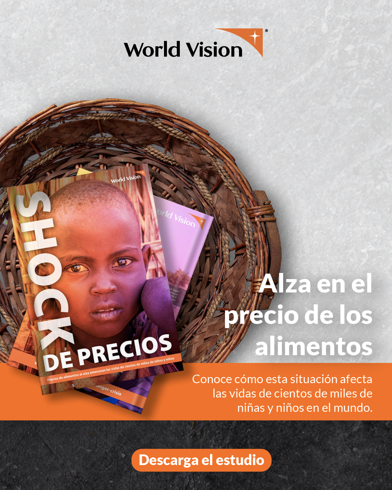 DESCARGA -  INFORME SHOCK DE PRECIOS (1)