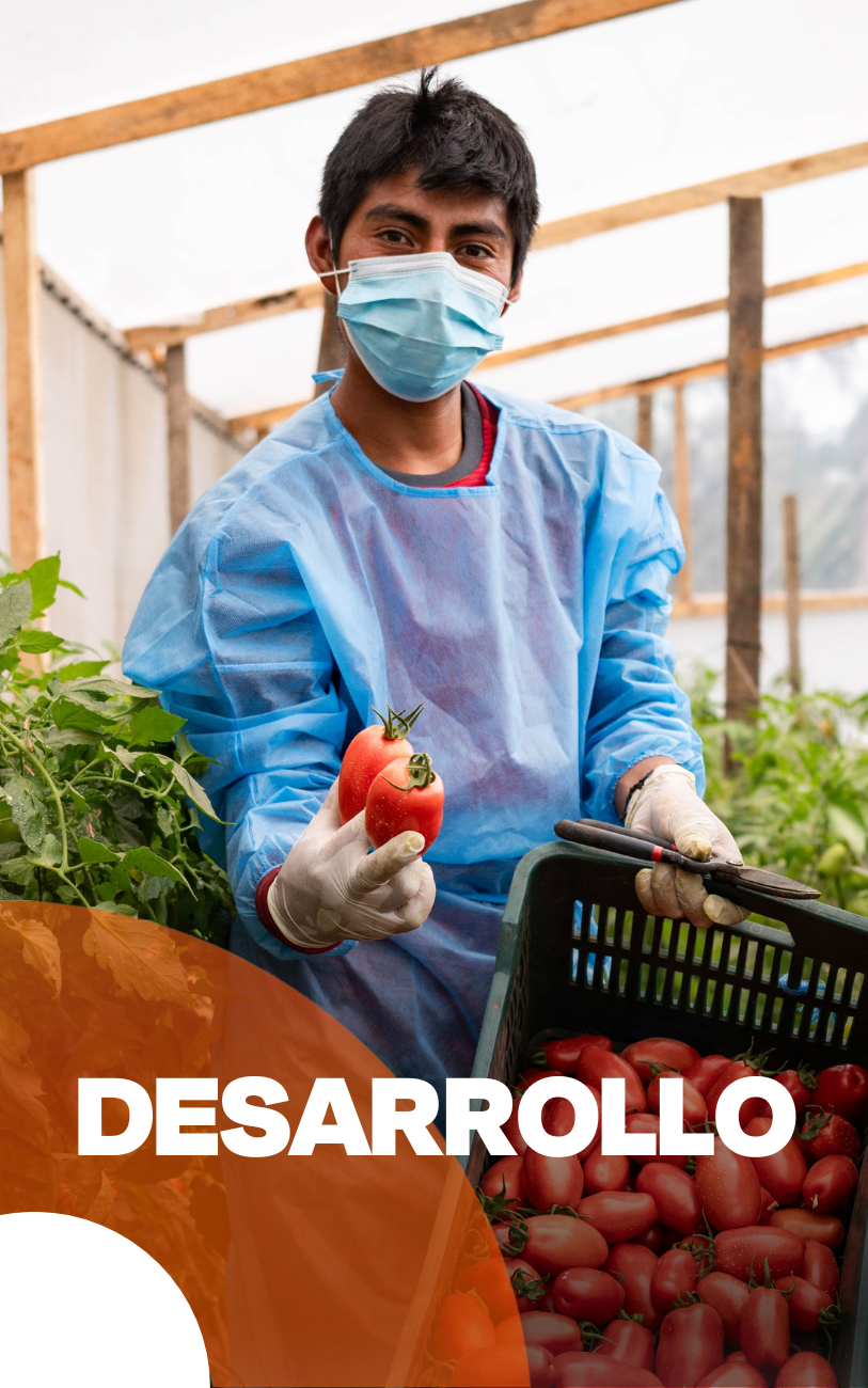 6-Apr-24-2025-03-05-05-0919-PM