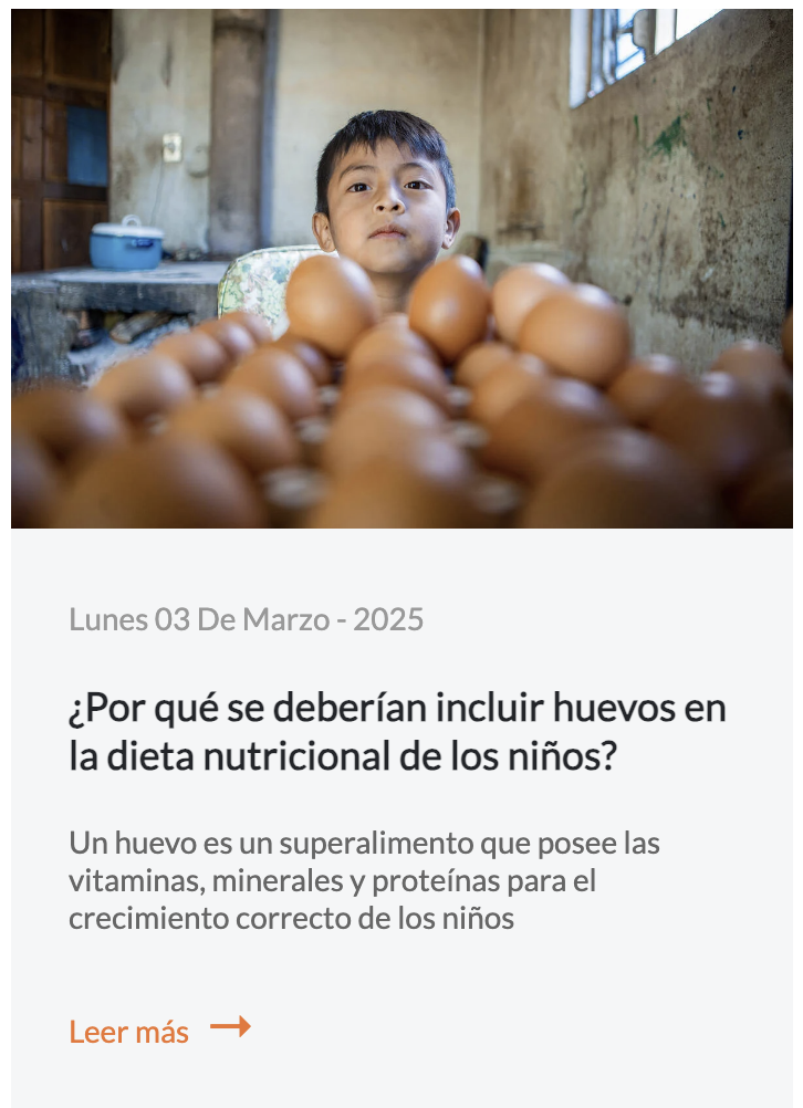 Por qué comer huevos